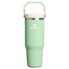 Stanley Iceflow Flip Straw Termos 0.89L | Pistachio